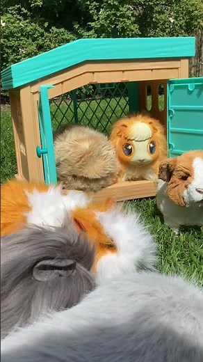 Garden Fake Guinea Pigs Moflin, Cupboo, Mama Surprise Furreal Friends Newborn & Animagic Guinea Pig
