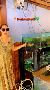 #StudyInMalaysia 🇲🇾 🍽✨ Where the sea meets flavour! Kapal Layar Restaurant in Langkawi offers a dining experience like no other, with fresh seafood 🦞, stunning ocean views 🌊, and an unforgettable ambiance 🌅. Indulge in their signature dishes from just USD 40 💰 while enjoying the ultimate seaside vibe. Sit back, relax, and let the waves set the perfect mood for your meal! 🚢🍷 Who would you bring here when you study in Malaysia? Tag them below! 👇😍 To learn more about studying in Malaysia