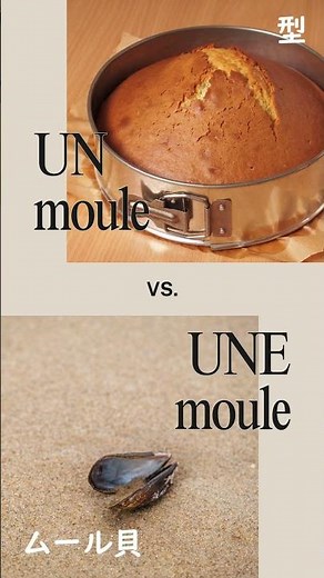 Mots français avec des significations différentes selon le genre 📖✨| 性別が違うと異なる意味になるフランス語の単語