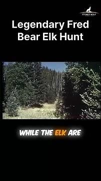 Legendary Fred Bear Elk Hunt
