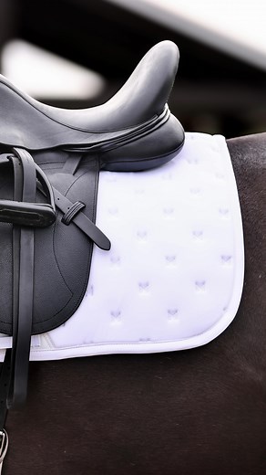 Aira Show Shirt in Aqua is probably our favourite 2025 shirt for competitions 🩵 #equestrian #dressage #horses | Maximilian Equestrian