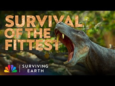 A Millennia of Animals Fighting to the Death | Surviving Earth | Docuseries | NBC