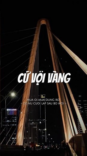 PN1992 | CỨ VỘI VÀNG remix | Mưa ơi mưa đừng rơi để nụ cười lấp sau bờ môi.. #remixsong