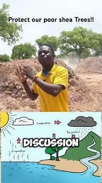 Protect our shea trees #ghanatalksradio #africa #Ghana #Shea #Climate #food #sustainability #Tamale