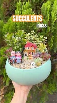 DIY Mini Succulent Garden 🪴 Easy Steps to Create a Stunning Arrangement