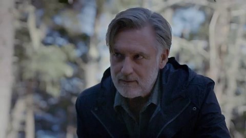 The Sinner (TV Series 2017–2021)