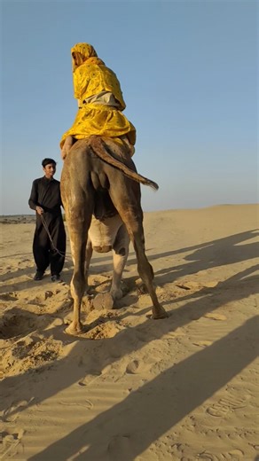 A beautiful woman dances on a camel. Subscribe to the channel for amazing videos.#camelshorts#camel