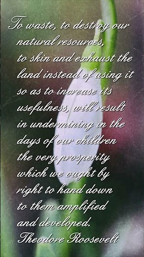 Inspirational Nature Quotes Spring Version 1