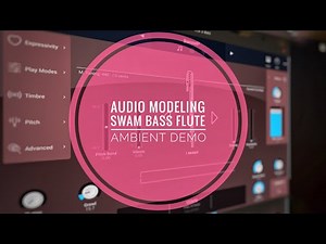 Audio Modeling Swam Woodwind Bass Flute + FX for Ambient / Electroacoustic / Experimental Demo