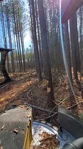 Logger work with Tigercat equipment 漢量 . .​ .​ #woodwork #trees #cafe #history #riverlandlogging #logging #tigercat720 #operadoresdemaquinas #loggingindustry #JohnDeere #forest #harvest #satisfaction #beautysalon #logginghistory #ThrowbackThursday #pacificnorthwest #lumberjack #vintagephotography | Jazlyn Smith | Facebook