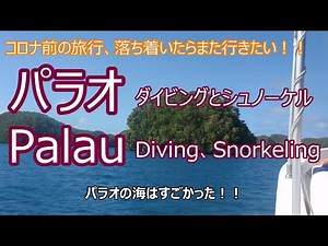 パラオの海はすごかった！！Palau’s ocean was amazing!!ダイビング、シュノーケルの旅！！Diving and snorkeling trip!! コロナ前の旅です！！