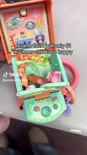 Nostalgic Thrift Finds: Polly Pocket and Littlest Pet Shop