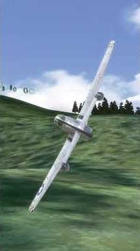 RealFlight Evolution Caméra 4k60 fps