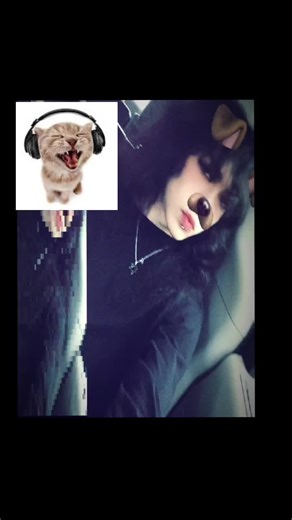 um I lowk need a good rage bait title #jaydes #wifiskeleton #nolife #femboy #emo I love my fat stupid cat