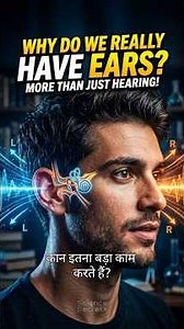 Why We Have Two Ears👂 #shorts
