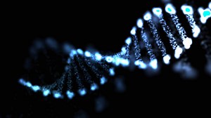 Single mutation in recessive gene increases risk of earlier onset Parkinson’s disease - Mayo Clinic News Network