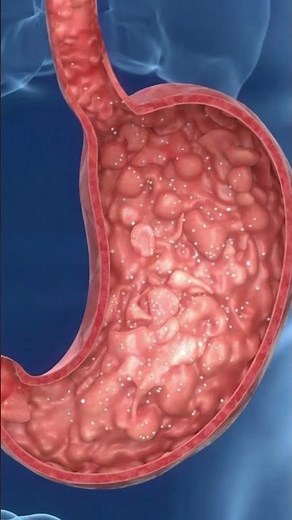 This Is What Eating a Cockroach Does to Your Body