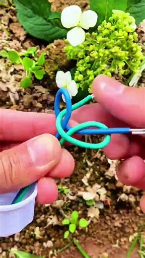Installing Light Cable with Simple DIY Steps