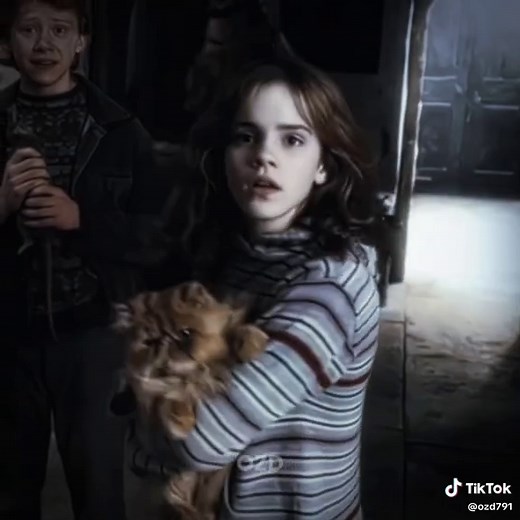 Emma Watson as Hermione Granger: A Fav Edit