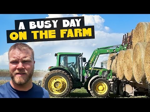 A Busy Day on the Farm 🚜 | Double Crop Planting, Baling, Feeding Cattle!