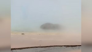 Bison dies in Yellowstone's Grand Prismatic Spring - Local News 8