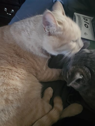 Juanita La Shell on Reels