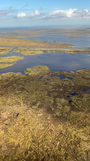 Gator country. | Carl Marino
