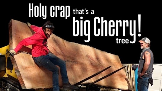 13K views · 272 reactions | I salvaged a massive cherry tree!  | Matt Cremona | Facebook