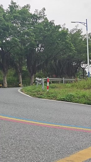 Một Giấc Ngủ: Bí Mật Của Sức Khỏe Tốt