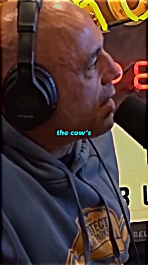 1.8K views · 19 reactions | a crazy event that happend in the Midwest #joerogan #ufo #alien #demon | Rogan Re | Facebook