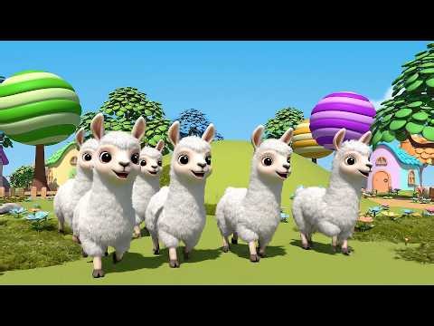 Five Little Llamas Walk Walk Walk | Gentle Animal Song & Counting Rhyme