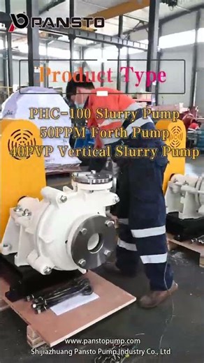 Froth Pump for Mineral Processing | Heavy Duty Froth Slurry Pump System