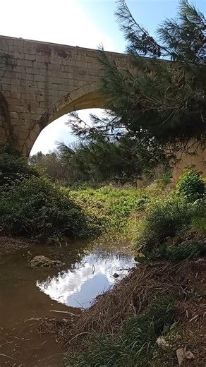 Chadwick Lakes Nature Trail