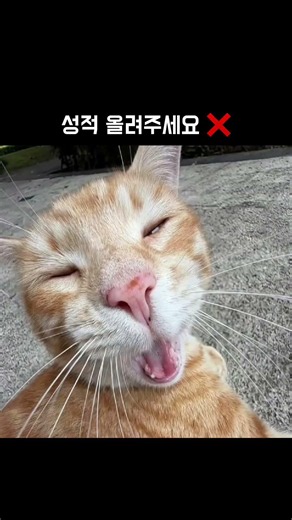 성적 정정 메일 어떻게 보내야 할까요? #강원대학교 #교양교육원#성적정정
