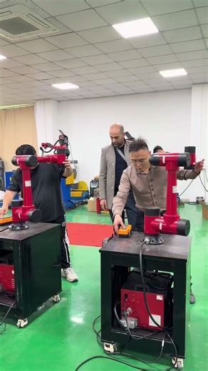 Exploring Advanced Automation: Robots in Industry