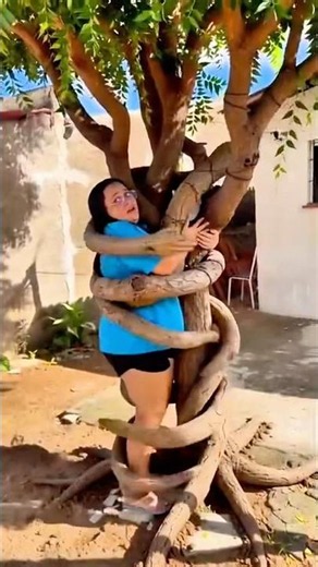 Ela foi embora #comedy #piadascurtas #shorts #shortsviral #piadasrapidas #humor