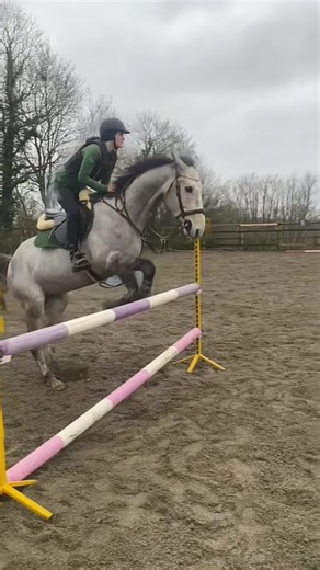 He’s too good 💁‍♀️ #moonlight #horseriding #fypppppppppppppp #fyp #foryoupage❤️❤️
