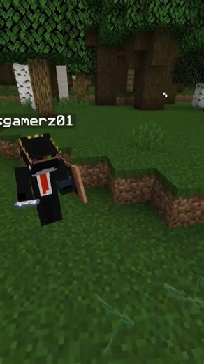 this Mod gives you a friend....#minecraft