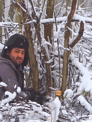 harsh winter camping snow blizzard #wildlife #adventure #camping #diy #nature #asmr #bushcraft #survival #fblifestyle #snow | HK Outdoors