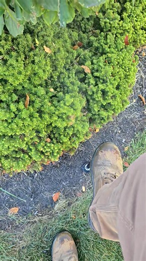 88K views · 330 reactions | When winterizing an irrigation system,...