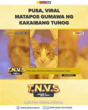 Pusa, viral matapos gumawa ng kakaibang tunog.
