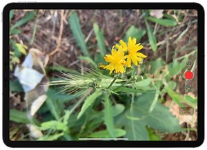 How to Record Time Lapse Video on iPad