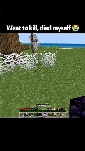minecraft Went to kill, died myself 💀😂