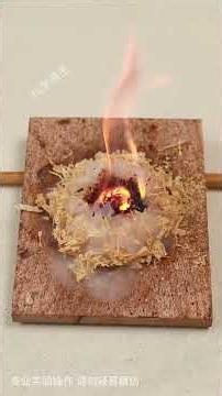Science in Everyday Life: Master These Fun Experiments! #science #ScienceExperiments #PopularScience