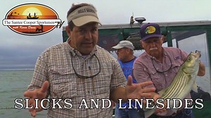 16K views · 39 reactions | Live bait fishing with Captain David...
