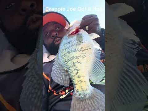 Arkansas Game & Fish Catch Crappie Joe on the water #crappiefishing #game&fish #fishing