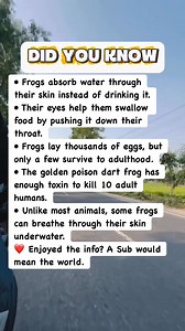 38K views · 796 reactions | Terrifying & Amazing Frog Facts! #facts | Did You Know Facts By OFS | Facebook