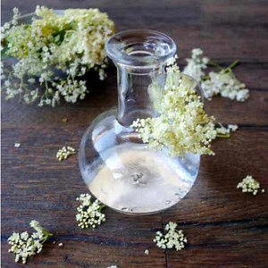 How to make hydrosol and 12 ways to use it