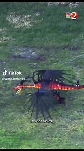 150K views · 1.5K reactions | Holy Flying Dragons - WESH caught sight of Hookfang, a dragon drone which will fly through How To Train Your Dragon: The Isle of Berk in Epic Universe  | Doctor Disney | Facebook