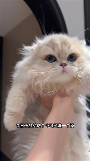 shanghan10 (@shanghan10)’s videos with original sound - shanghan10